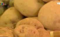 Gian nan gắn nhãn khoai tây Đà Lạt