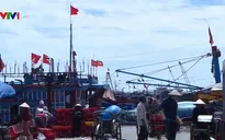 TT-Huế: Cắt giảm đầu tư khu neo đậu tránh trú bão Thuận An