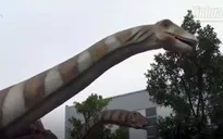 Khám phá công nghệ làm mô hình khủng long