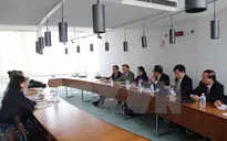 Phát huy vai trò cầu nối của người Việt Nam ở nước ngoài