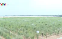 Công bố chỉ số kinh tế nông, lâm nghiệp, thủy sản 2016