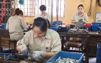 Doanh nghiệp tư nhân cần được đối xử bình đẳng