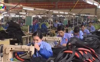 ICAEW dự báo tăng trưởng kinh tế Việt Nam đạt trên 6,5%