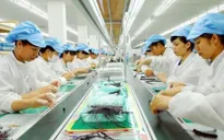 Kinh tế Việt Nam vẫn còn nhiều “khoảng tối”