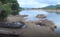 Bình Định: Sông Kôn sạt lở, người dân lo lắng