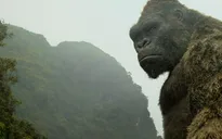 Vì sao Kong: Skull Island được quay tại Việt Nam?