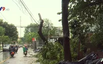 Khắc phục ảnh hưởng của bão số 14 tại TP.HCM