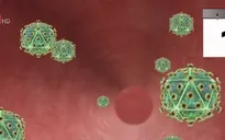 Mỹ: Phát hiện kháng thể vô hiệu hóa được 99% chủng virus HIV