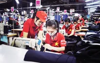 Những đóng góp của kinh tế tư nhân