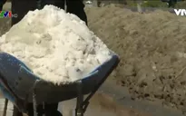 Diêm dân ngại đầu tư sản xuất muối trải bạt