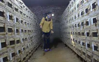 Ngôi làng của những người gan dạ