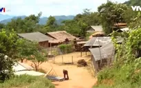 Cuộc sống bấp bênh của những hộ di cư bất hợp pháp sang Lào