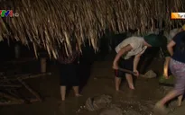 Tăng cường khắc phục hậu quả sau lũ, phòng chống dịch bệnh