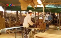 1/3 lao động tại Việt Nam không có hợp đồng
