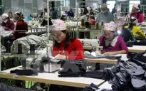Gia tăng thất nghiệp ở lao động nữ