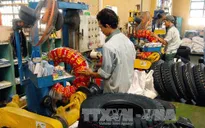 Thúc đẩy tạo việc làm cho lao động trẻ trong năm 2017