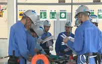 Việt Nam xếp thứ 2 về lao động nước ngoài tại Nhật Bản