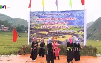 Lễ hội Ngày mùa trên danh thắng ruộng bậc thang