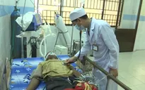 Côn Đảo: 2 người nhập viện trong tình trạng nguy kịch vì ngộ độc cá nóc