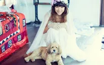 Lee Hyori cuối cùng đã "chịu" công bố giá váy cưới