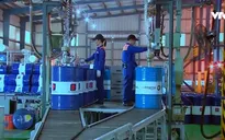 Nhiều doanh nghiệp lớn sẽ lên sàn trong năm nay