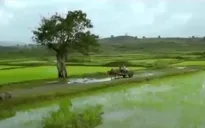 Chất lượng phim truyện tham dự Liên hoan phim Việt Nam