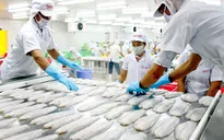 Nhìn lại một năm Hiệp định thương mại tự do Việt Nam - Liên minh kinh tế Á Âu có hiệu lực