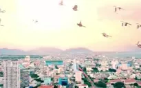 Trước thềm Liên hoan phim Việt Nam lần thứ 20