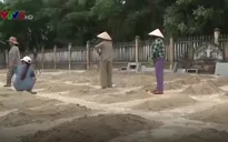 Sai sót trong việc tu bổ nghĩa trang liệt sỹ tại Quảng Nam