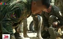 Lính thủy quân lục chiến học cách sống sót trong rừng nhiệt đới