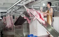 Bình Định sẽ xây dựng 31 cơ sở giết mổ tập trung