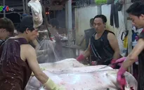 Lò mổ Xuyên Á ngừng hoạt động, thị trường thịt lợn TP.HCM gặp khó