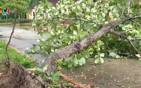 Hà Tĩnh: Lốc xoáy làm nhiều nhà dân bị hư hỏng
