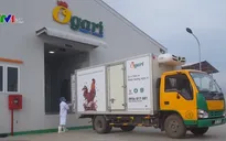 Giảm chi phí cho doanh nghiệp nhờ logistics tập trung