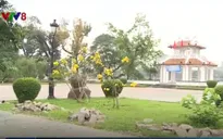 TT-Huế: Quyết tâm lập lại trật tự vỉa hè