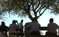 Lớp học dưới gốc cây của trẻ em nghèo tại Kenya