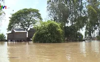 Lũ có thể về sớm ở Đồng bằng sông Cửu Long