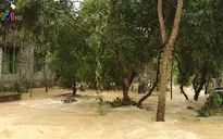 Ngân hàng giãn nợ cho người dân bị thiệt hại do bão số 12