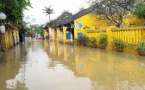 Nga, Nhật hỗ trợ Việt Nam khắc phục hậu quả bão số 12