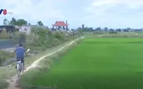 Không được nhận tiền hỗ trợ đất lúa, người dân Phú Yên bức xúc