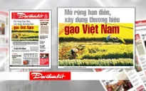Việt Nam cần xây dựng thương hiệu gạo nổi tiếng