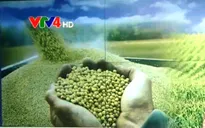 Việt Nam đạt tiến bộ vượt bậc về an ninh lương thực