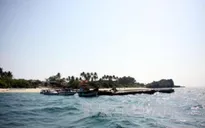 Thành lập khu bảo tồn biển Lý Sơn