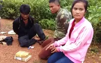 Quảng Bình: Bắt giữ vụ vận chuyển 12.000 viên ma túy tổng hợp