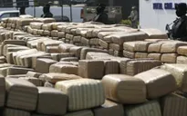 Brazil triệt phá đường dây vận chuyển ma túy bằng đường hàng không