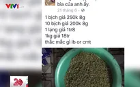 Việt Nam xuất hiện nhiều loại ma túy mới
