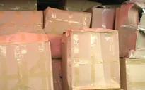Bắt giữ 2.800kg ma túy thảo mộc
