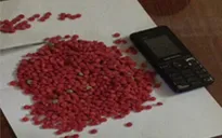 Bắt người nước ngoài vận chuyển hàng nghìn viên ma túy tổng hợp