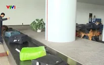 Xuất hiện nhiều đường dây buôn bán ma túy qua đường hàng không