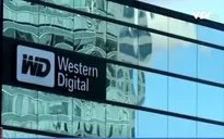 Western Digital: Toshiba sẽ vi phạm hợp đồng nếu bán mảng chip